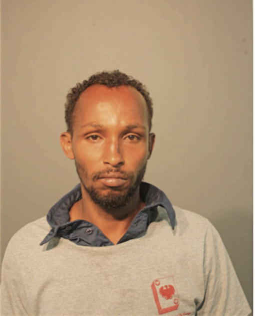SAID ABDI, Cook County, Illinois