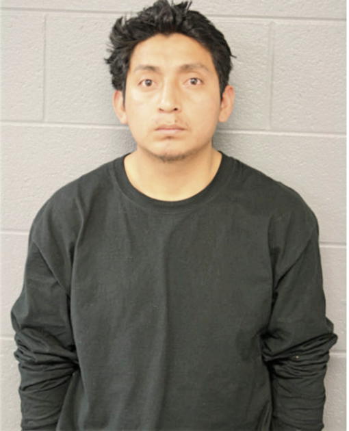 CHRISTIAN TENESACA AREVALO, Cook County, Illinois