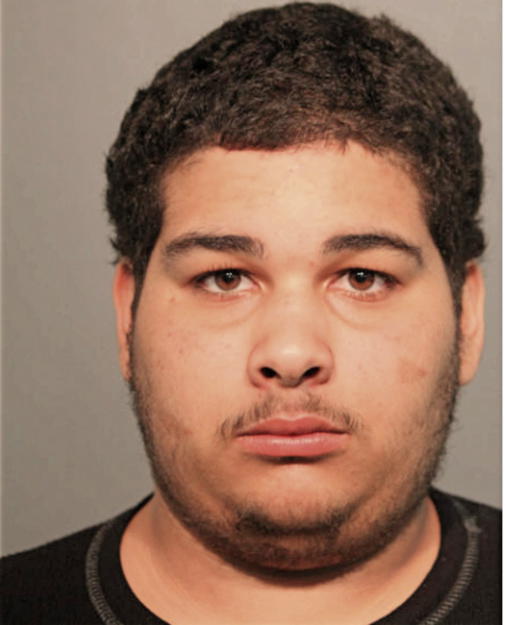 NATHANIEL LUIS BAEZ, Cook County, Illinois