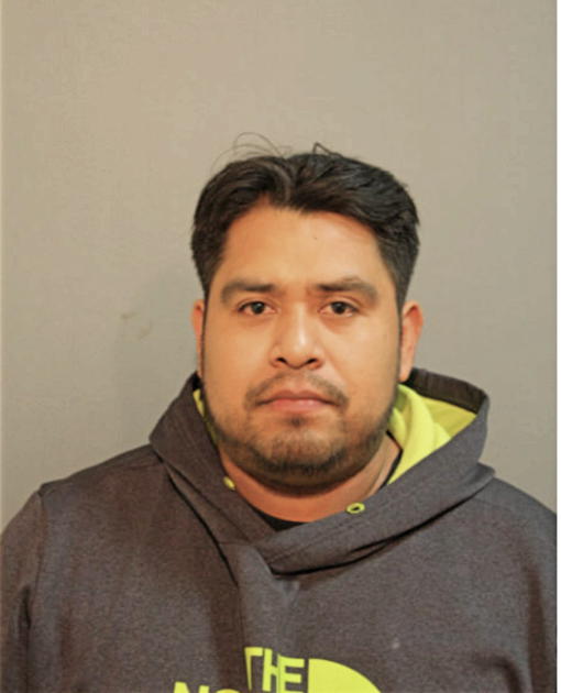HECTOR F BRACAMONTES-ALONSO, Cook County, Illinois