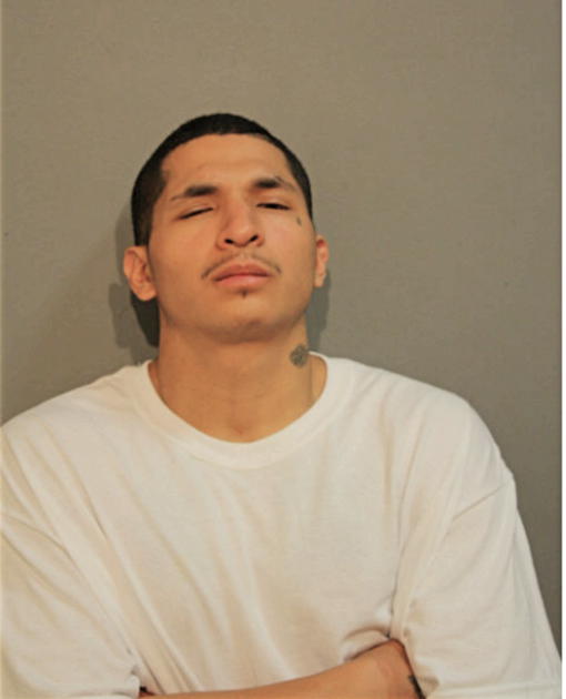 RICCO F CARRASCO, Cook County, Illinois