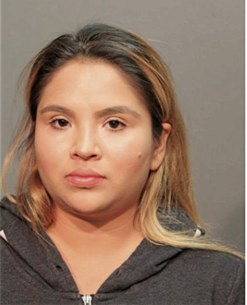 MELISA CENICEROS, Cook County, Illinois