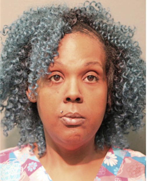 LISA N COLEMAN, Cook County, Illinois