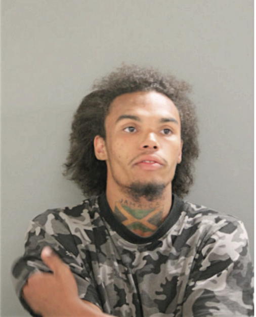 TRENTON H DAVIES, Cook County, Illinois