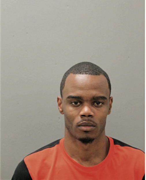 LARICE S GORDON, Cook County, Illinois