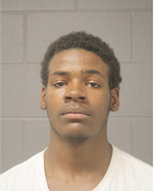 DERRICK A HOPKINS, Cook County, Illinois