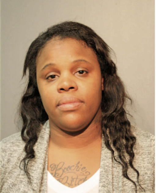 LAURA T JOHNSON, Cook County, Illinois