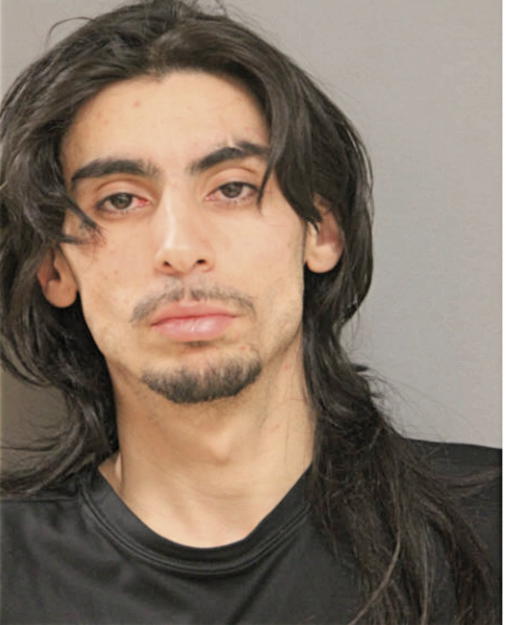 ANTHONY T LARA, Cook County, Illinois