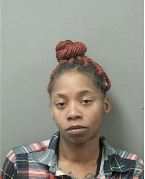 TYRESSA M LITTLE, Cook County, Illinois