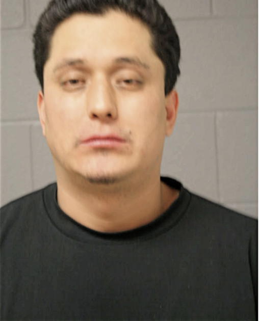 JUAN L MARTINEZ, Cook County, Illinois
