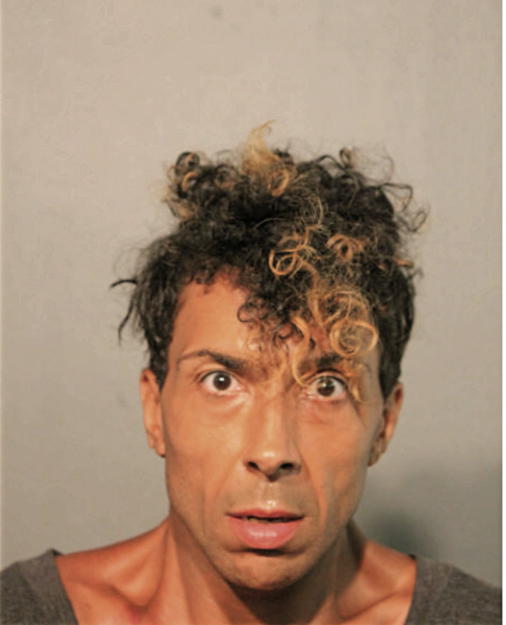 ROBERT J MERSCHANTZ, Cook County, Illinois