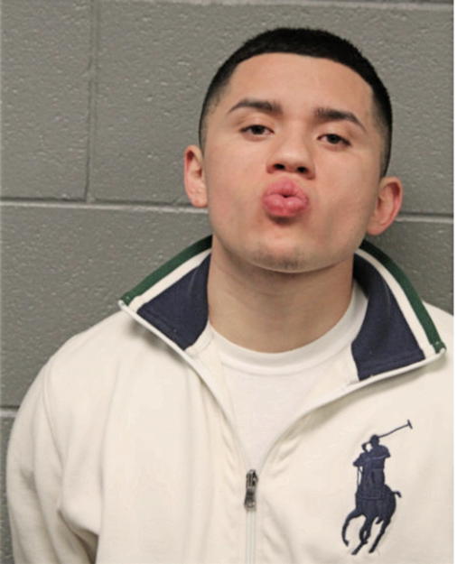 RAUL NAVARRO, Cook County, Illinois