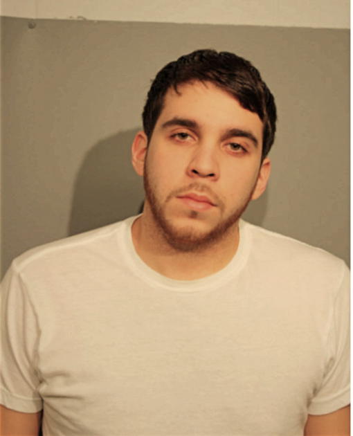 ANTHONY D RAMIREZ, Cook County, Illinois