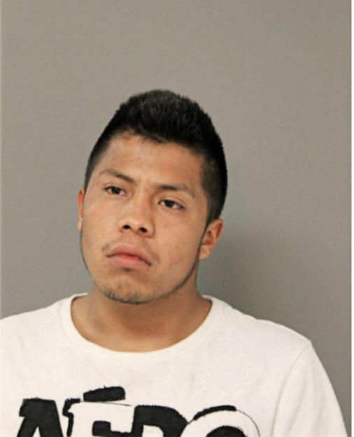 IVAN RICARDO, Cook County, Illinois