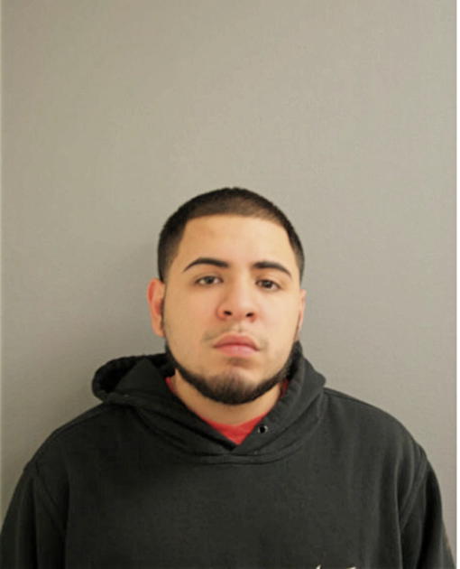 JAIME L ROMAN, Cook County, Illinois