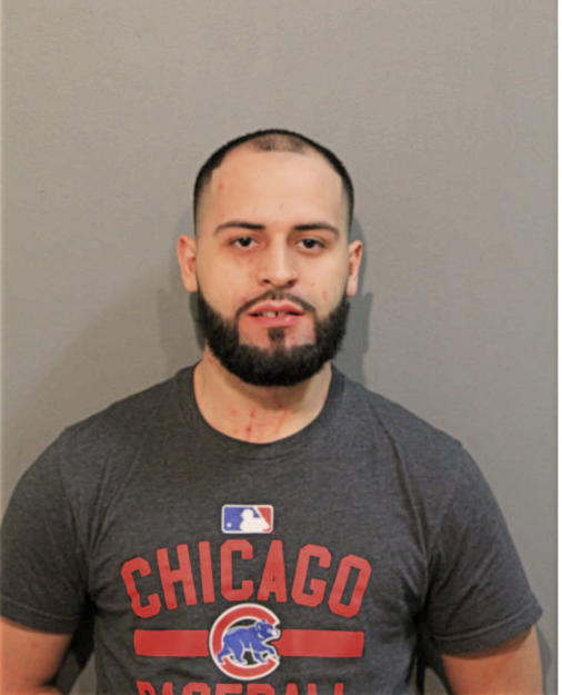 LUIS R SOTO, Cook County, Illinois