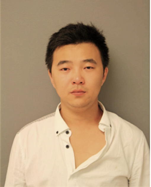 HANYANG YANG, Cook County, Illinois