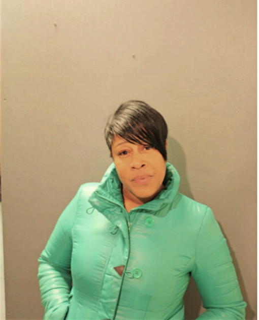 YVONNE L YOUNG-WATSON, Cook County, Illinois