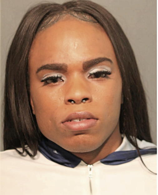 DAVAREA M ALEXANDER, Cook County, Illinois