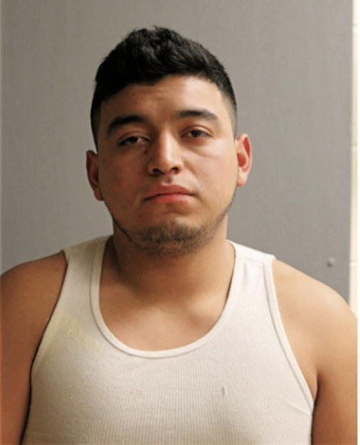 JUNIOR ALVARADO-GONZALEZ, Cook County, Illinois