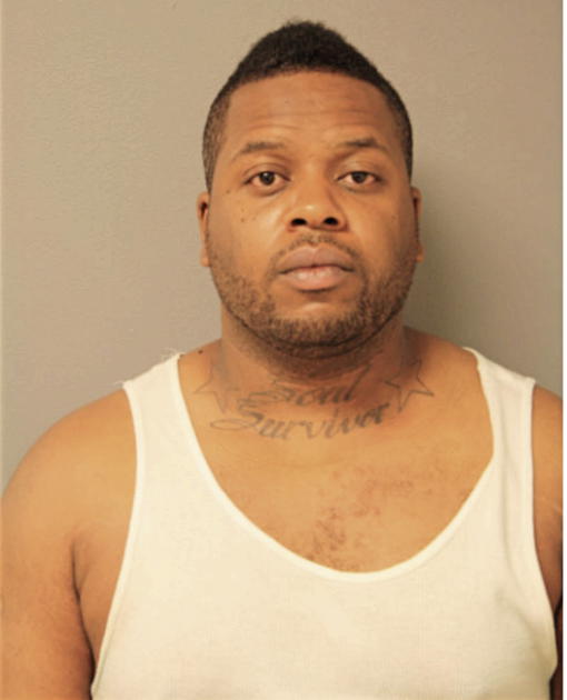 ROBERT P ANDERSON, Cook County, Illinois
