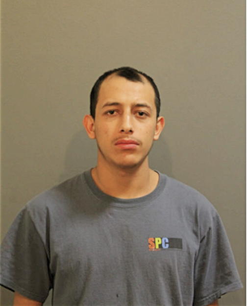 DANIEL J BECERRIL, Cook County, Illinois