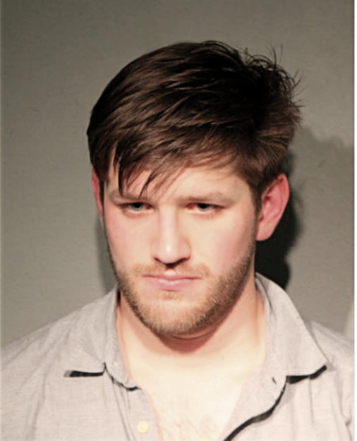 BRANDON C BIERBRODT, Cook County, Illinois