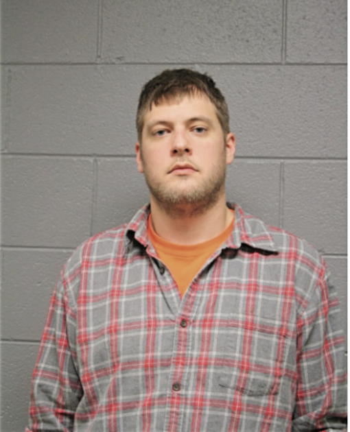 DANIEL P DIEKEMPER, Cook County, Illinois