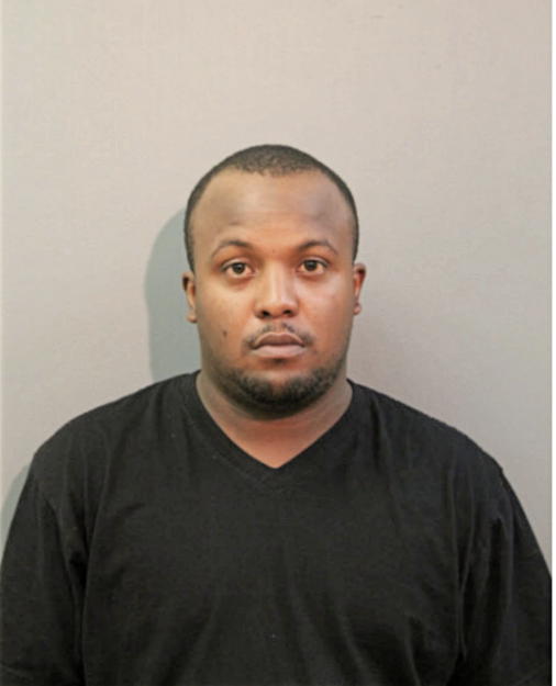 ANTHONY JOHNSON, Cook County, Illinois