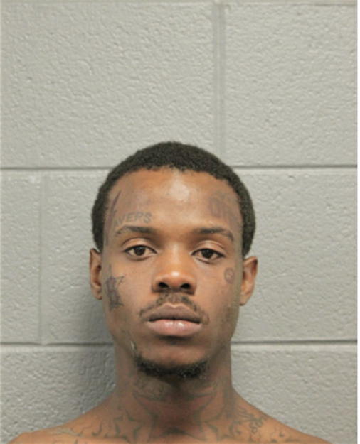 GEORGE J JOHNSON, Cook County, Illinois