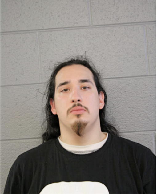 JULIAN L LUGO, Cook County, Illinois