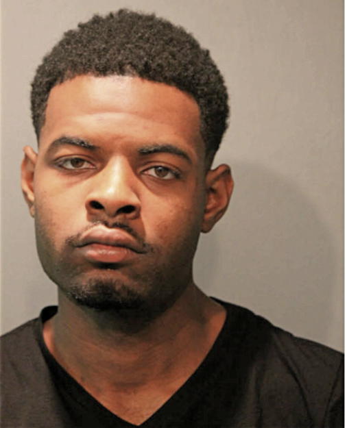 BRIAN S MONTGOMERY, Cook County, Illinois