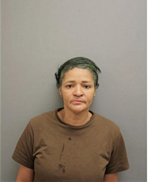 CYNTHIA A NELSON, Cook County, Illinois