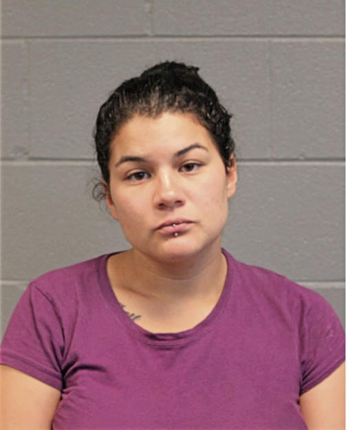 LIDIA NUNEZ, Cook County, Illinois