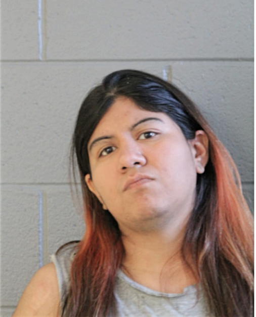 ERIKA ORTIZ, Cook County, Illinois