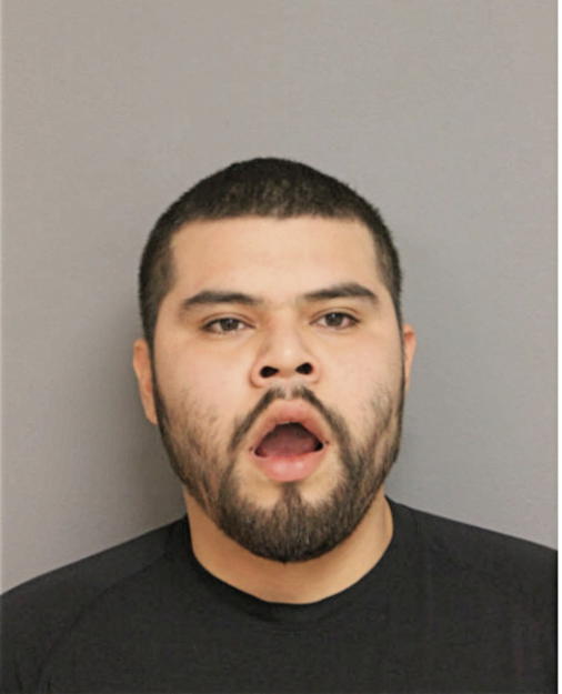 ITZEL G ORTIZ, Cook County, Illinois