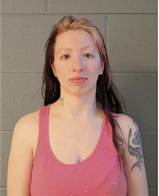 SARA E PAJAK, Cook County, Illinois
