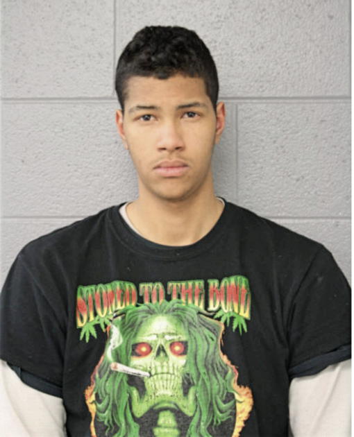KEVIN M PLANTIER, Cook County, Illinois