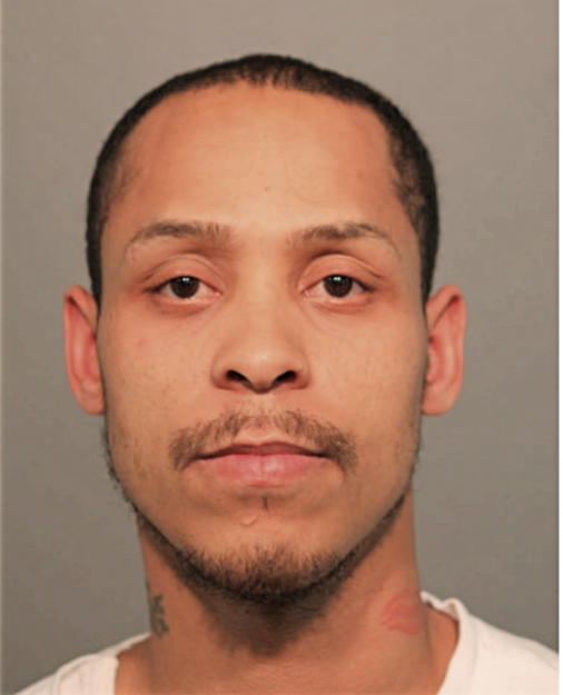 LUIS A ROMAN, Cook County, Illinois