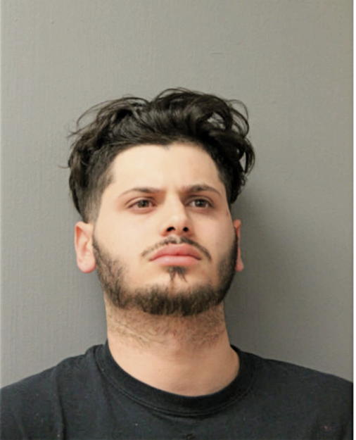 DASIAN J SCHULMAN, Cook County, Illinois