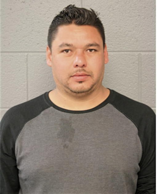 RICHARDO SILVA, Cook County, Illinois