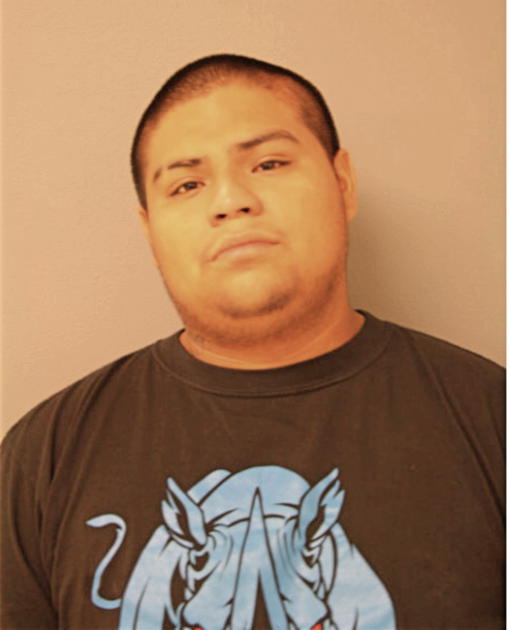 NESTOR VILLALOBOS, Cook County, Illinois
