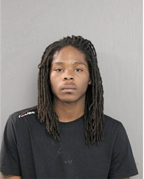 MARK A WILLIAMS, Cook County, Illinois
