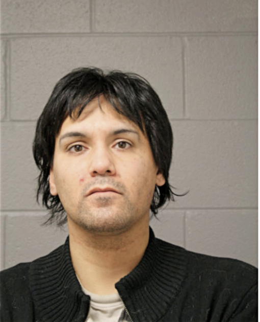 RYAN J AARON, Cook County, Illinois
