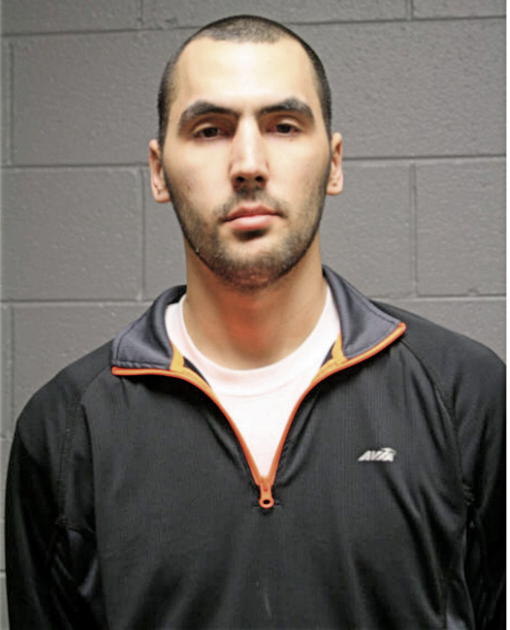 LEE S AKEXOPOULOS, Cook County, Illinois