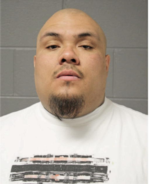 JOSE C ARRIAGA, Cook County, Illinois