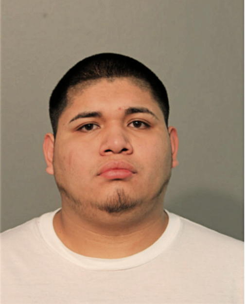 IRVING AVILES, Cook County, Illinois
