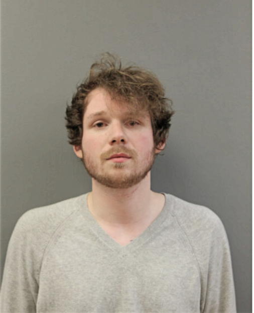 JORY K AVNER, Cook County, Illinois