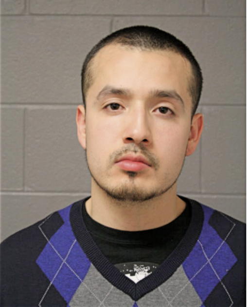 RAYMOND E BOTELLO, Cook County, Illinois