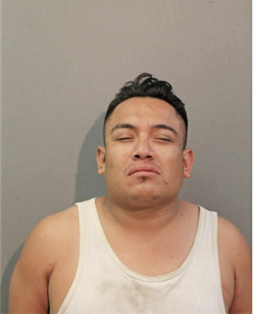 JESUS BRAVO, Cook County, Illinois